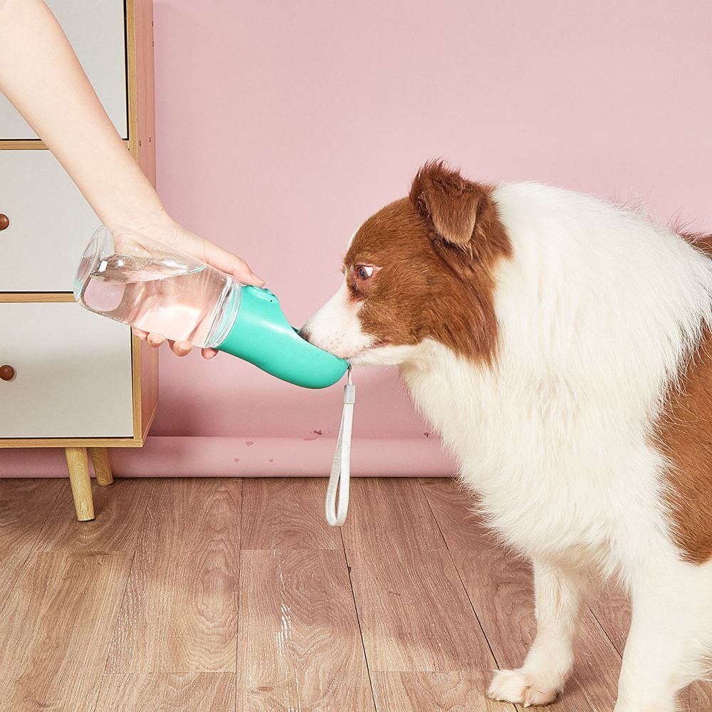 La nouvelle tasse d'eau portable pour animaux de compagnie, la bouilloire d'accompagnement, la tasse à boire pour chien et chat.