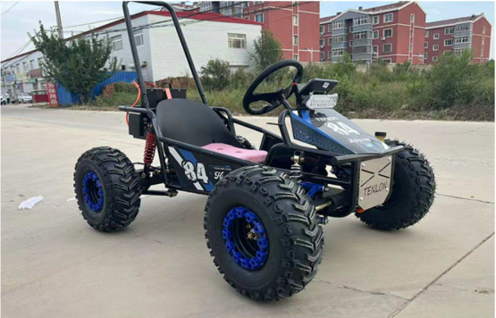 Tricycle Électrique 1000W - moto a 4 roues avec des Performances et Confort avec Options de Moteur et Couleurs Personnalisables